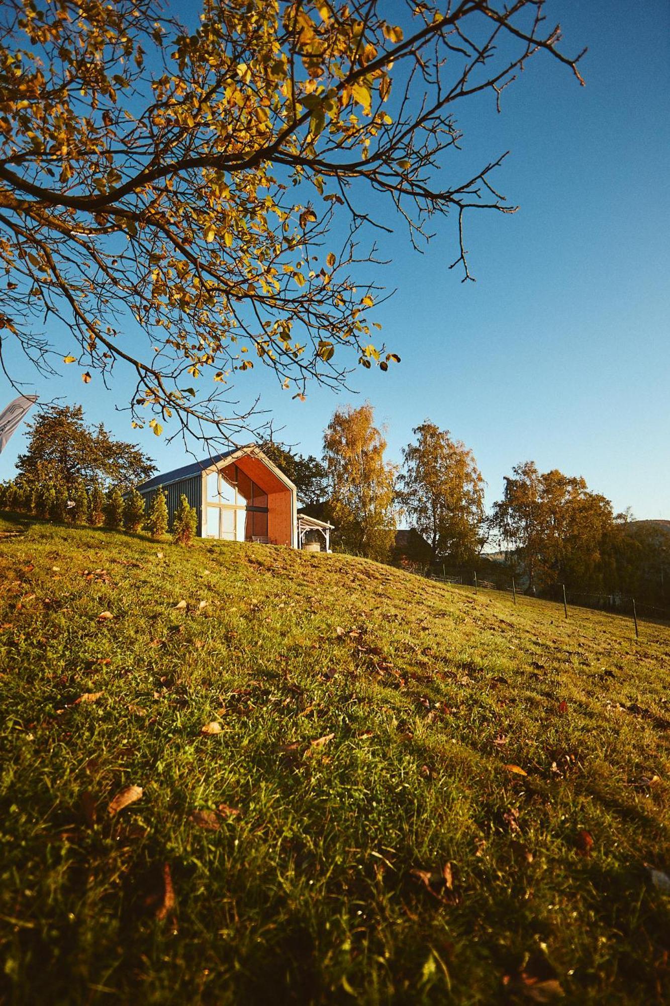 Scandinave Chalet Bran Zarnesti Ngoại thất bức ảnh