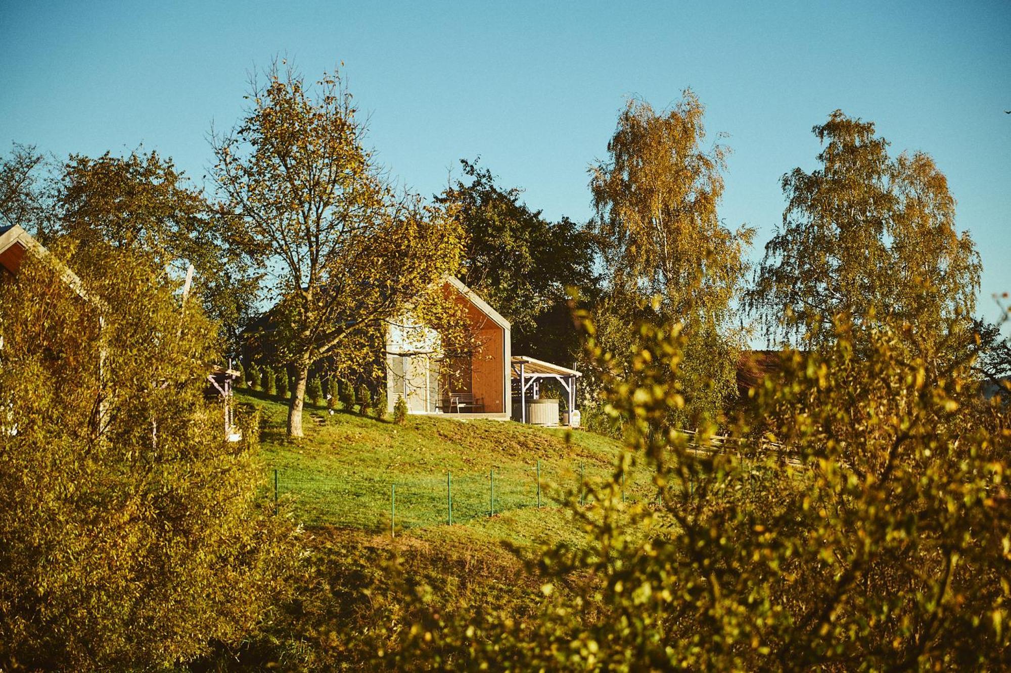 Scandinave Chalet Bran Zarnesti Ngoại thất bức ảnh