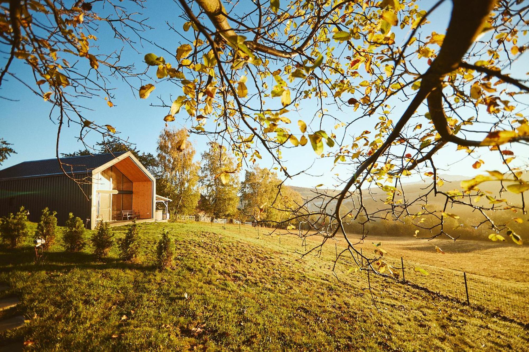 Scandinave Chalet Bran Zarnesti Ngoại thất bức ảnh