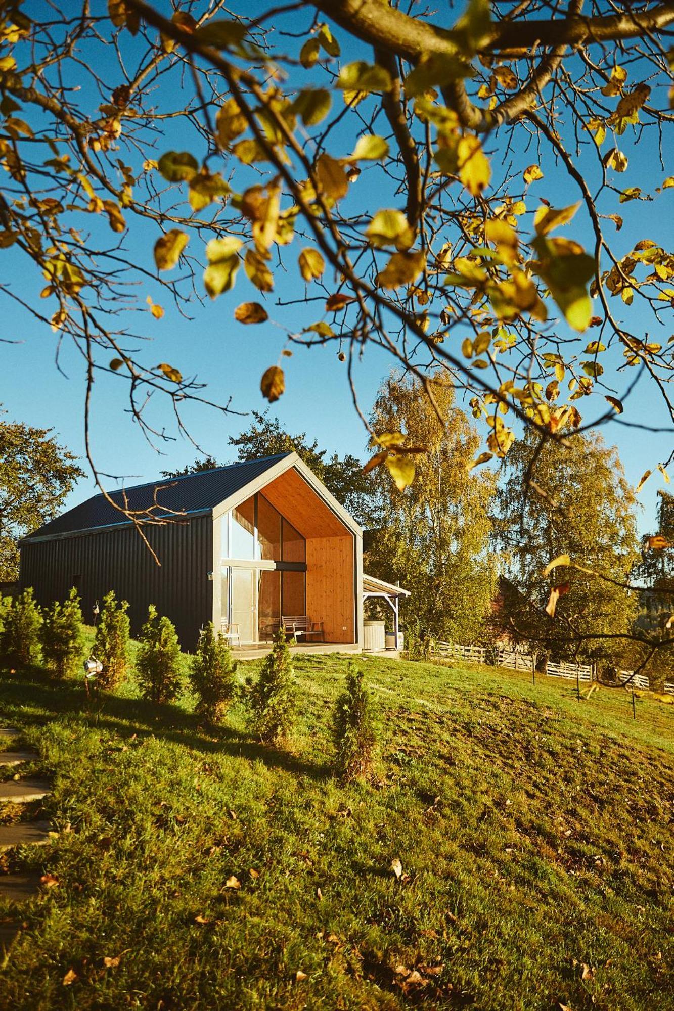 Scandinave Chalet Bran Zarnesti Ngoại thất bức ảnh