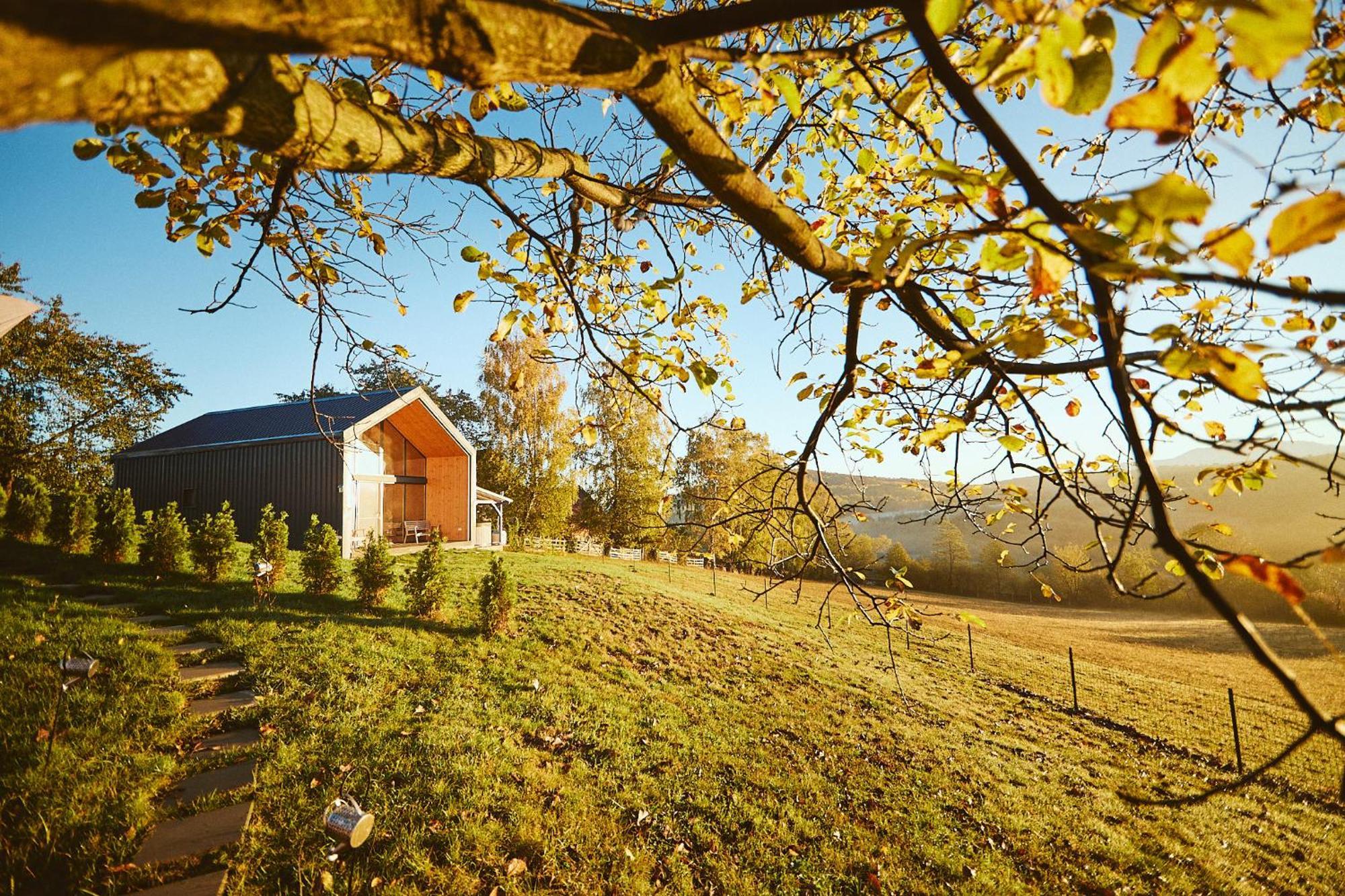 Scandinave Chalet Bran Zarnesti Ngoại thất bức ảnh