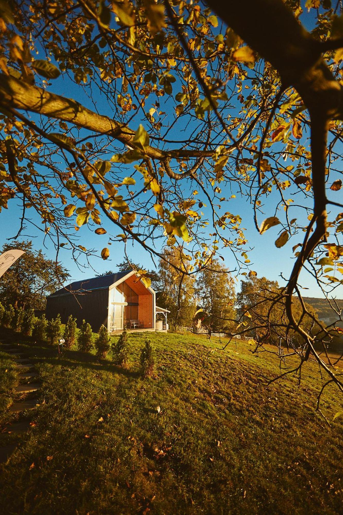 Scandinave Chalet Bran Zarnesti Ngoại thất bức ảnh