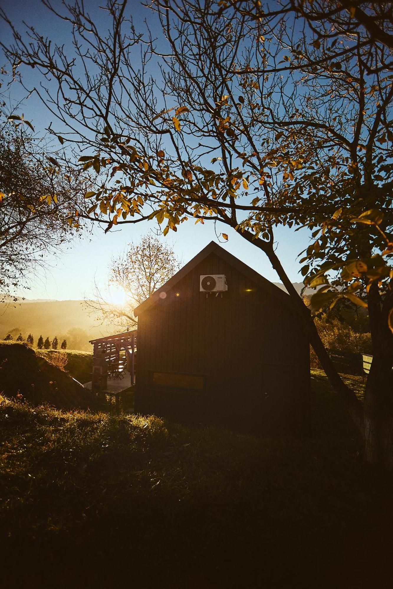 Scandinave Chalet Bran Zarnesti Ngoại thất bức ảnh