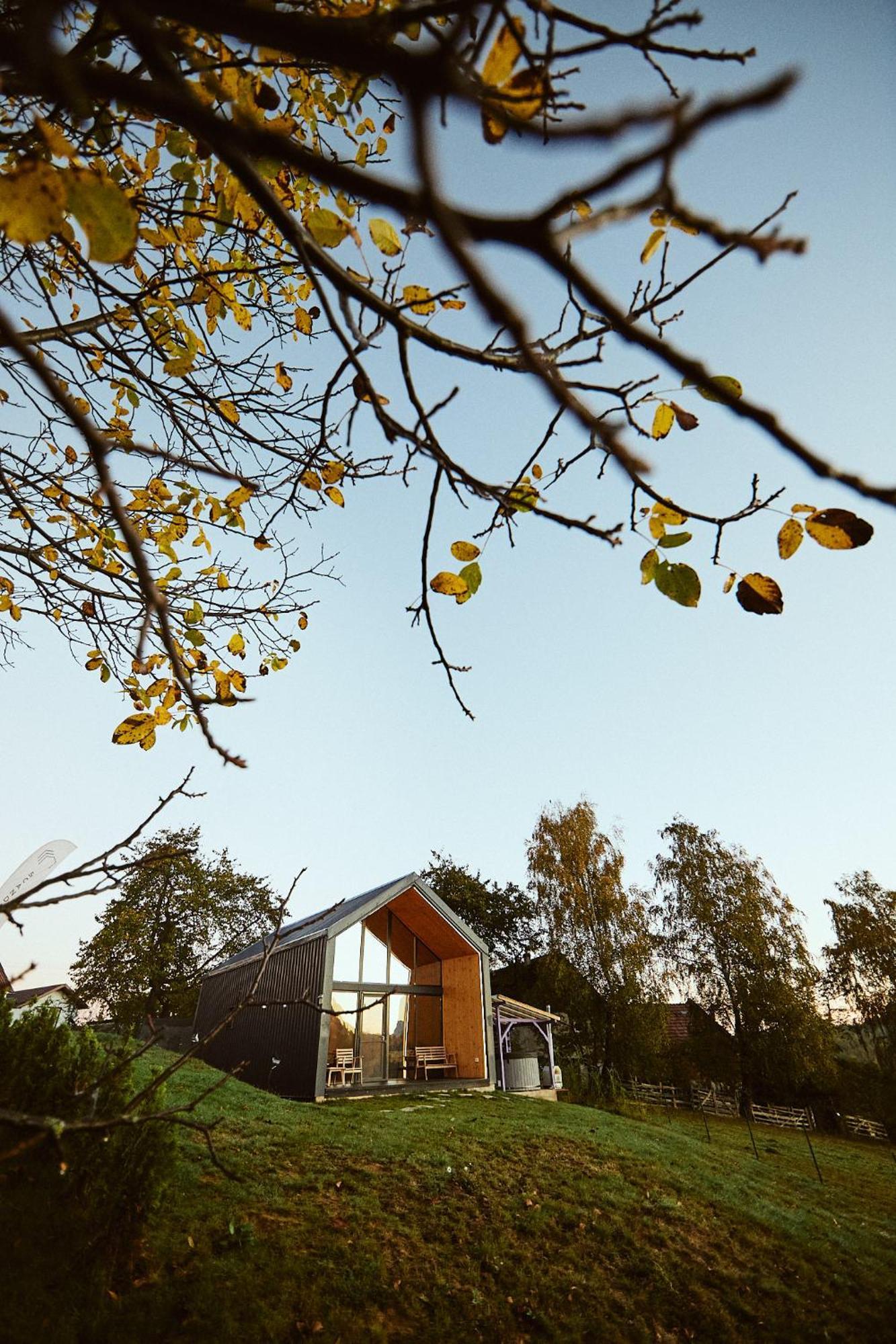 Scandinave Chalet Bran Zarnesti Ngoại thất bức ảnh